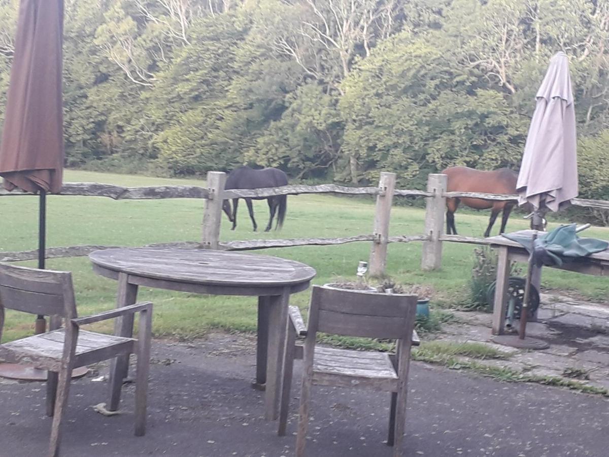 Moaps Farm B&B Support Small Business, Welcome, Check In From 5 Pm Danehill Exterior photo