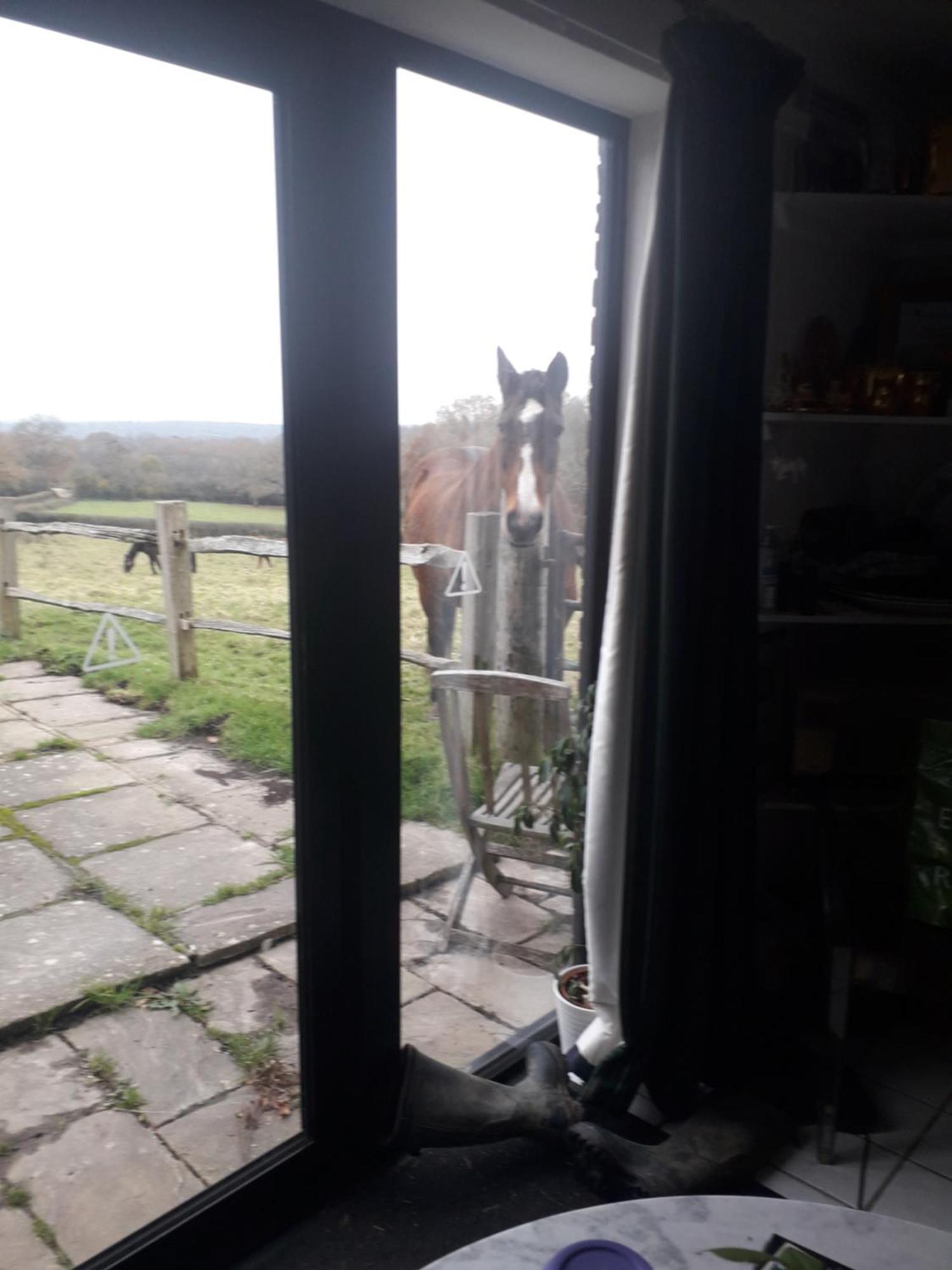 Moaps Farm B&B Support Small Business, Welcome, Check In From 5 Pm Danehill Exterior photo