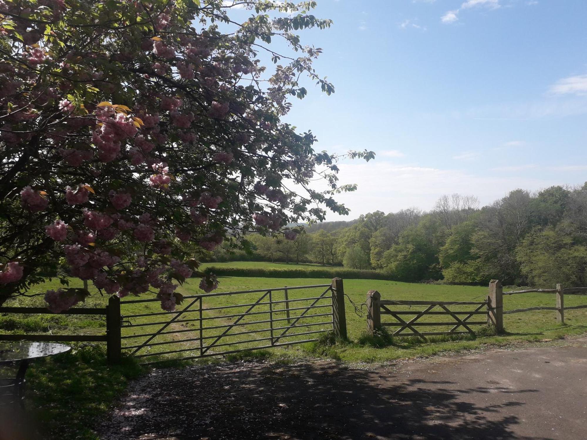 Moaps Farm B&B Support Small Business, Welcome, Check In From 5 Pm Danehill Exterior photo